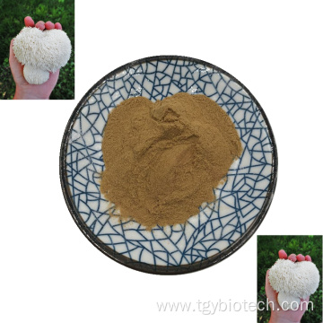 Supply Natural Lion's Mane Mushroom Extract Powder